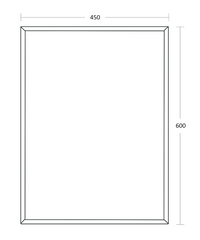 Tennessee Bevelled Edge Mirror 450x600mm