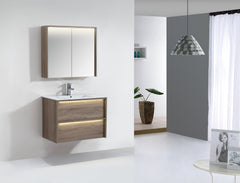 NEON wall hung vanity In 750mm with LED lights