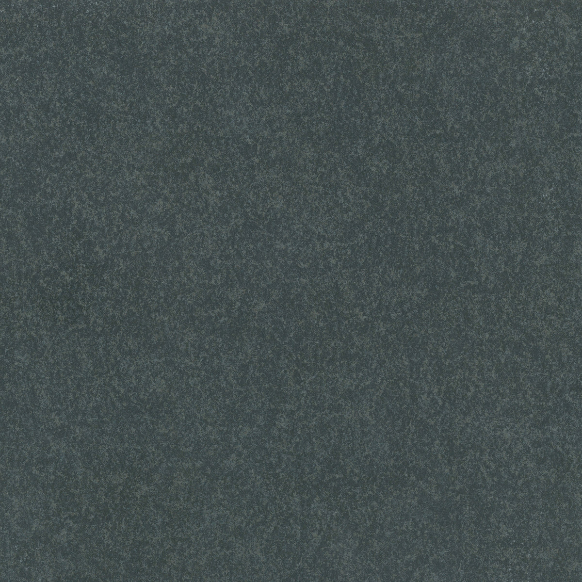 PARLA GRANITE BLACK EXTERNAL 600X600X20(PA684-20)