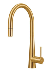 ESSENTE Stainless Steel Goose Neck Pull Out Mixer