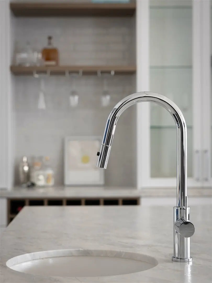 Mecca Pull Out Sink Mixer With Vegie Spray Function
