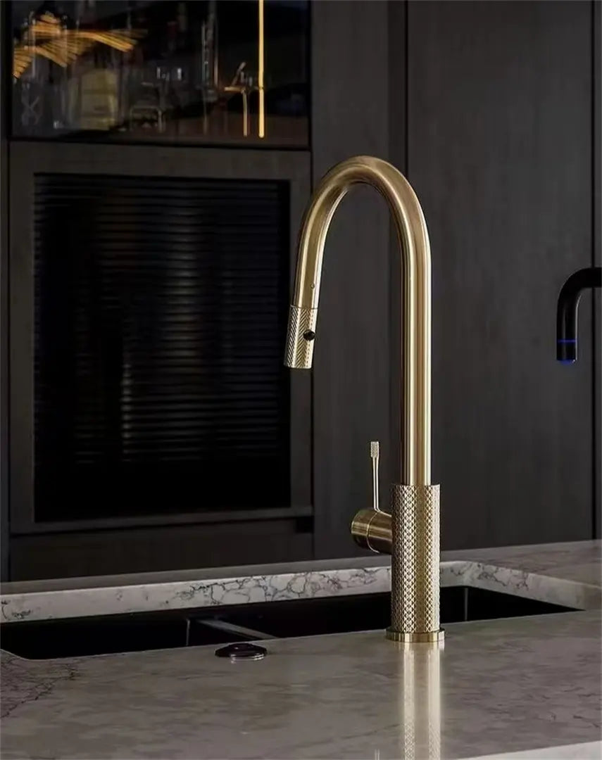 Opal Pull Out Sink Mixer With Vegie Spray Function