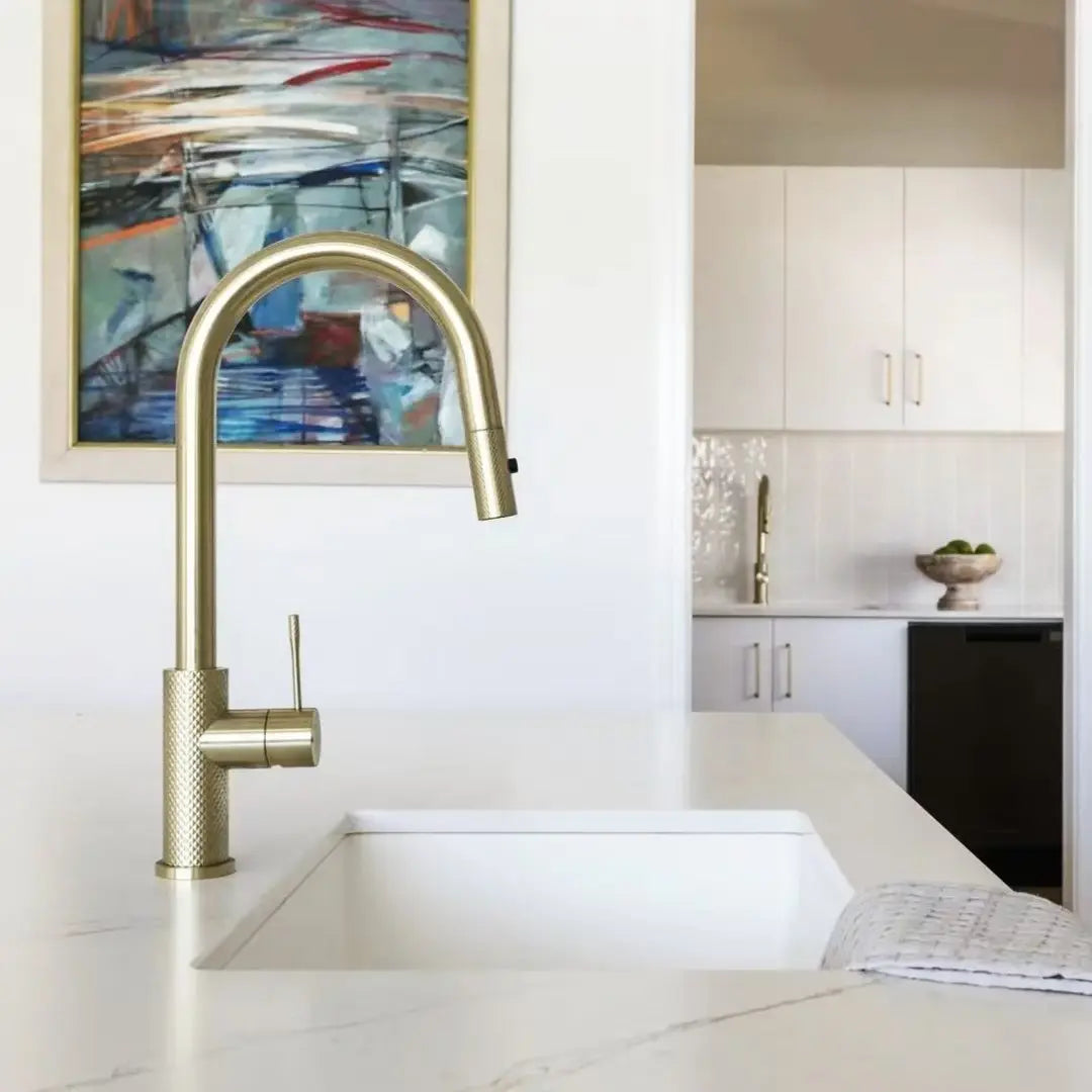Opal Pull Out Sink Mixer With Vegie Spray Function