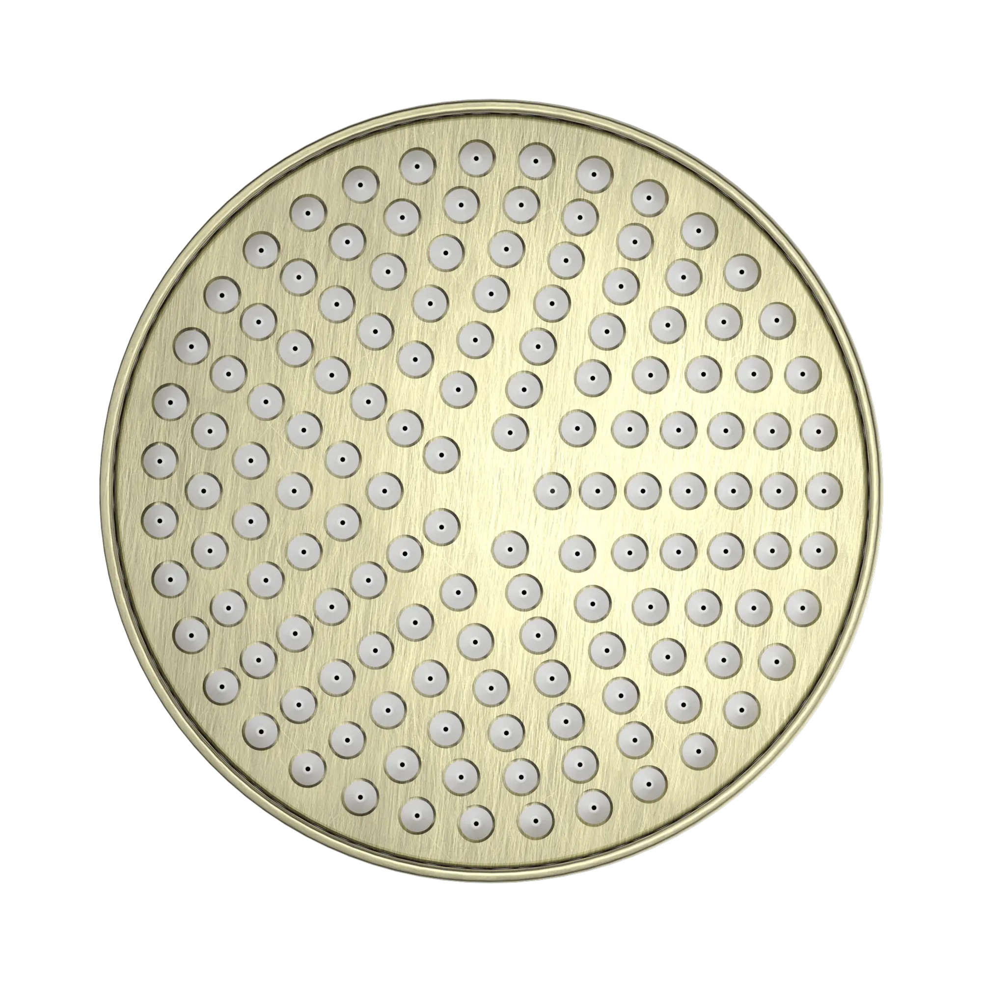 York 200mm Shower Head
