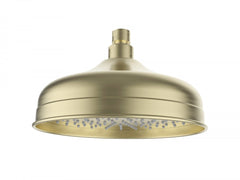 Clasico Shower Head