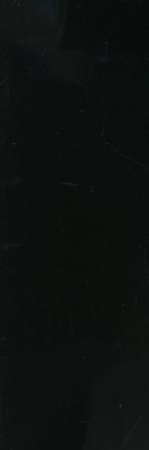 13DH1 (OF081) ENTRANCE GLOSS BLACK 100X300