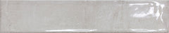 CLIO SILVER (PERLA) GLOSS 107X530