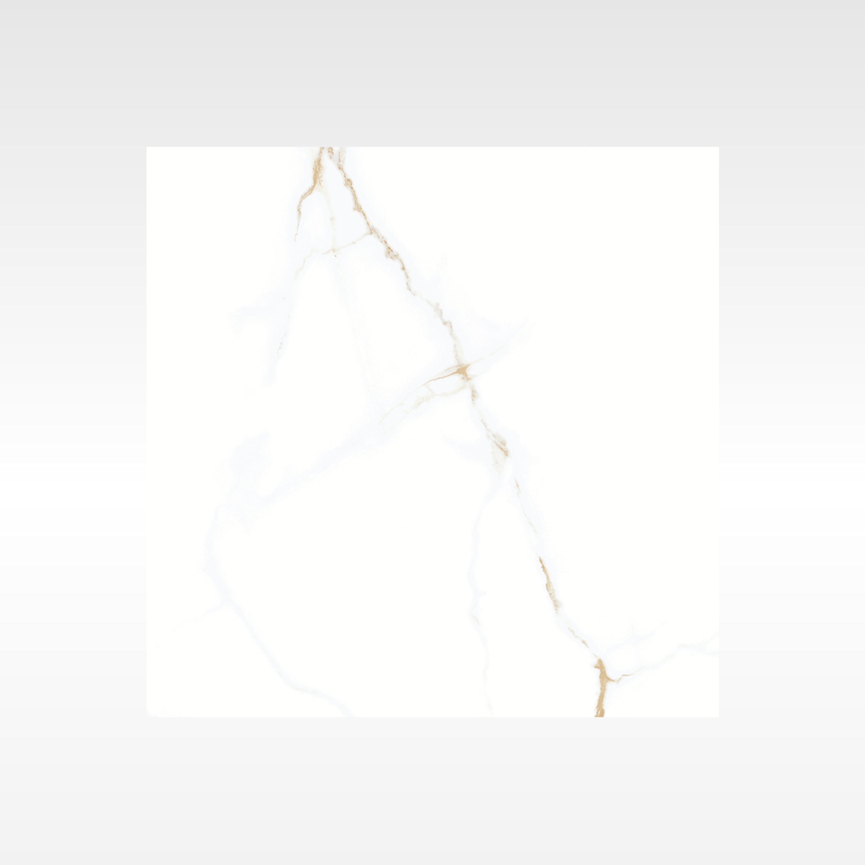 Statuario Gold 300x600 Polish