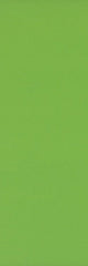 B10304 ZULU LIME GREEN GLOSS 100X300