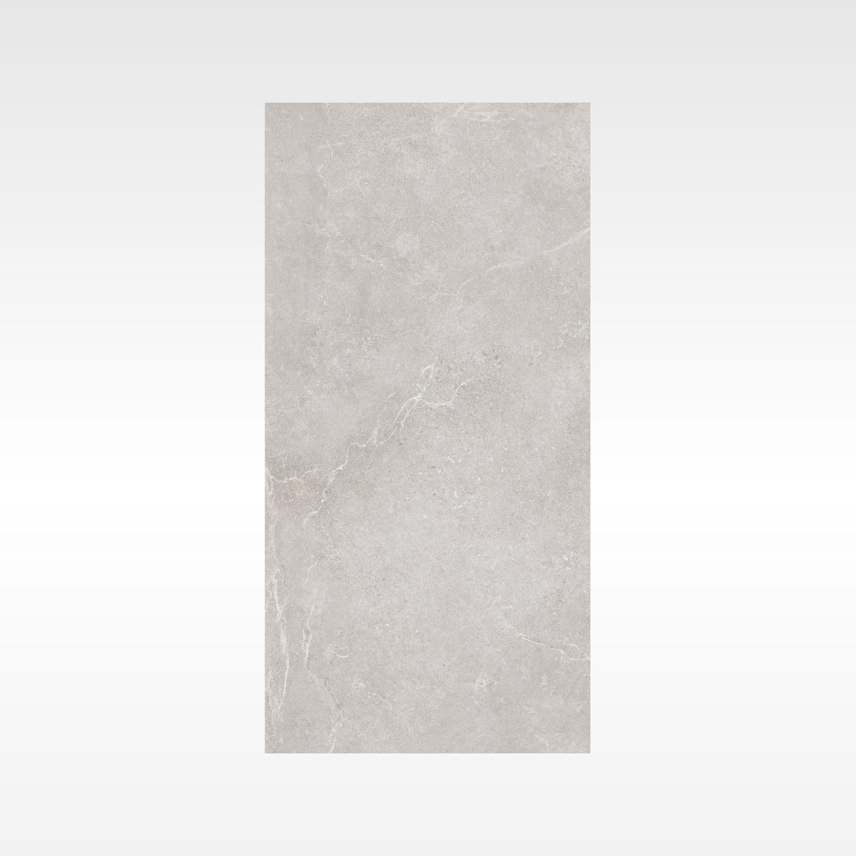 DIAMOND Silver 600x1200 Lappato IN Silver And GREY