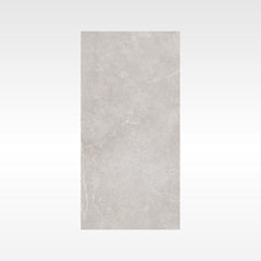 DIAMOND Silver 600x1200 Lappato IN Silver And GREY