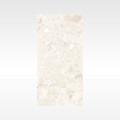 Aquastone Ivory 300x600 Matt