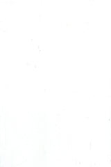 23AW1 (OG011) BYRON GLOSS WHITE WALLS 200X300