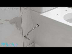 Luelue Bidet Seat DIB C430