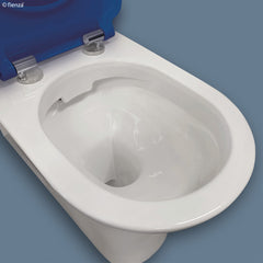 CELTA Care Back-to-Wall Toilet Suite, White Seat, Raised Buttons