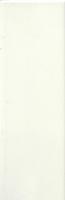 NH1301A (NC1301A) LANTIC GLOSS IVORY 100X300