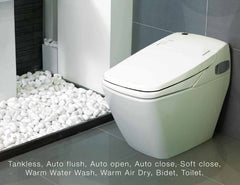 THRONE KING Ceramic Smart Bidet Toilet