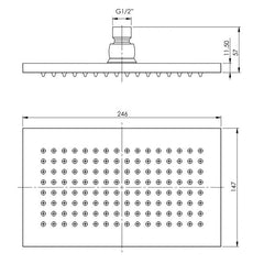 Phoenix LEXI Shower Rose 150 x 250mm Or 250 x 350mm