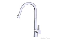 Rena Pull-Out Sink Mixer in Chrome, Matte Black, Brushed Nickel & Brushed Gold