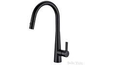 Rena Pull-Out Sink Mixer in Chrome, Matte Black, Brushed Nickel & Brushed Gold