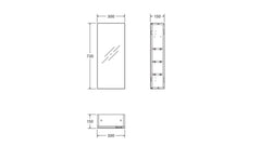 300 Edge Mirror Cabinet in Bevel and Pencil