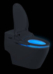 Luelue Bidet Seat DIB C430