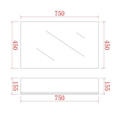 Shaving Cabinet Pencil edge 450x750