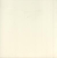22AB1 (OK021) LAURIETON GLOSS IVORY 200X200
