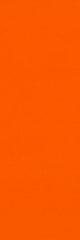 B10305 ZULU ORANGE GLOSS 100X300