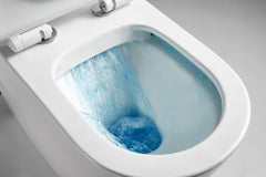 CURVY RIMLESS CLEANFLUSHING BTW TOILET SUITE