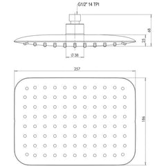 Phoenix RUSH Shower Rose 200 x 250mm