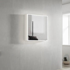 LED MOONLIGHT 750X650 SHAVING CABINET 2 DOORS