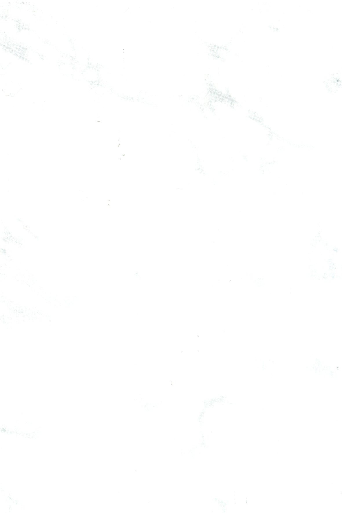 23AW21 PRIMA CARRARA WT 200X300