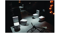 ALEXANDER-R Series Back To Wall Toilet