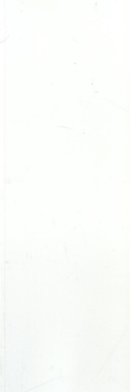 13AW2 (OF012) ENTRANCE SATIN WHITE 100X300