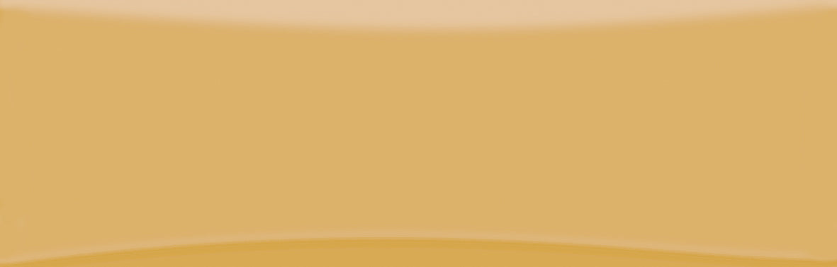 59342 BELLA VITA BUTTER GLOSS 82X257