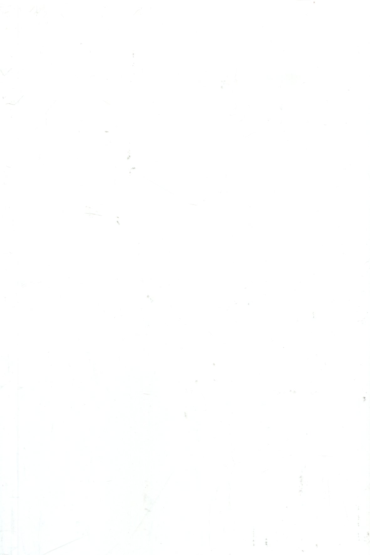(OG021) BYRON GLOSS ALABASTER WALLS 200X300