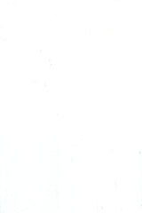 (OG021) BYRON GLOSS ALABASTER WALLS 200X300