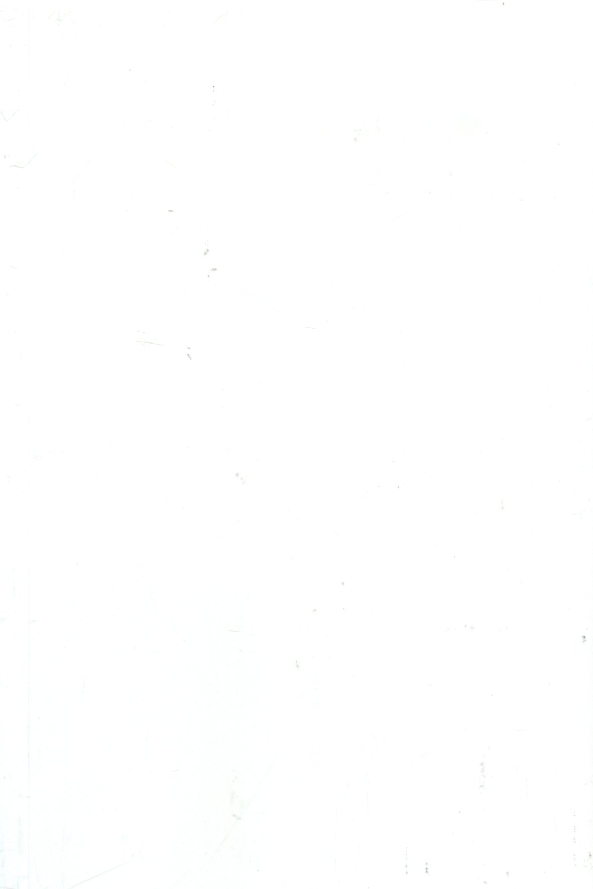 (OG021) BYRON GLOSS ALABASTER WALLS 200X300