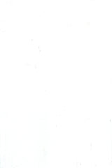 (OG021) BYRON GLOSS ALABASTER WALLS 200X300
