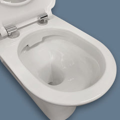 CELTA Care Back-to-Wall Toilet Suite, White Seat, Raised Buttons