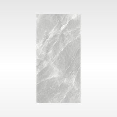 Fg Grey 300x600 Matt
