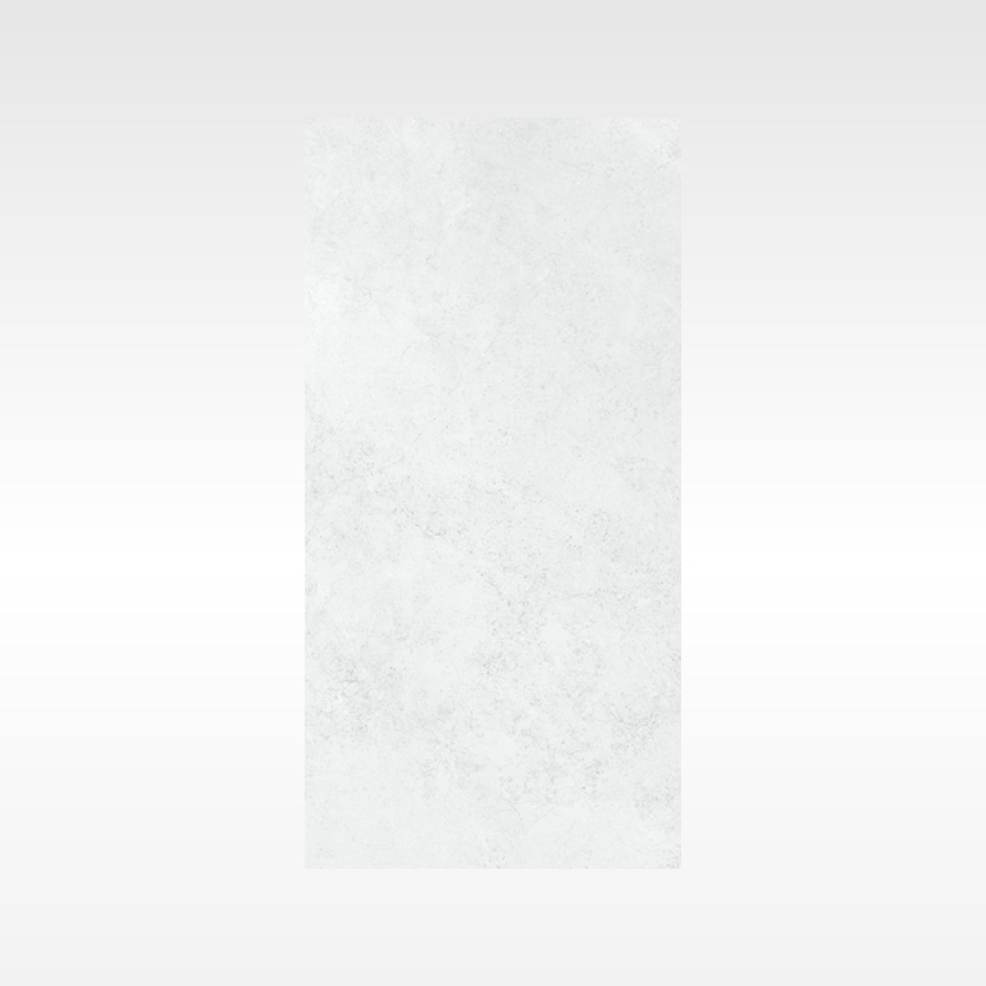 Ionic Grey 300x600 Matt