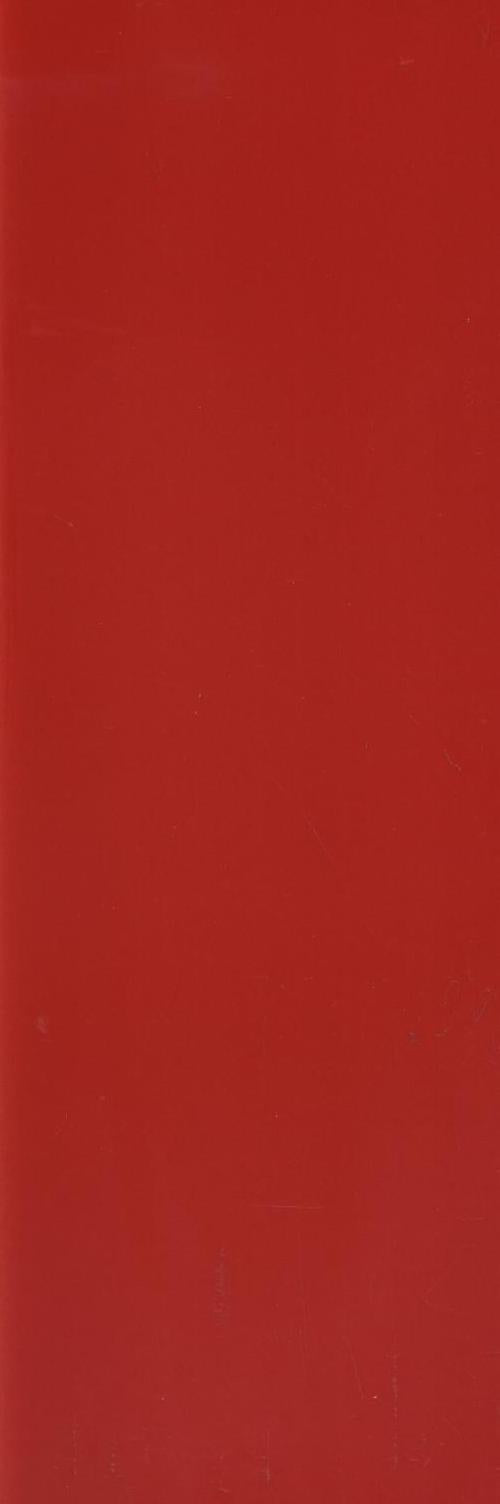 13EK1 (OF101) ENTRANCE GLOSS RED 100X300