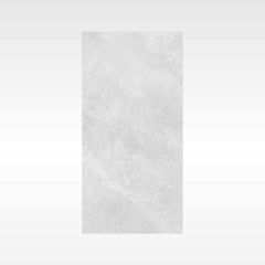 Ionic Grey 300x600 Matt