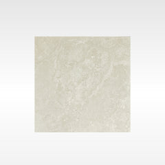 Alps White 600x600 In&Out Solution