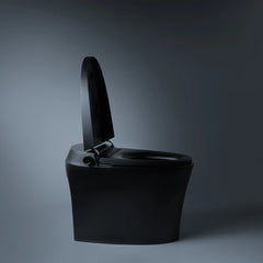 Smart Toilet IN White, And Matt Black
