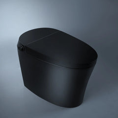 Smart Toilet IN White, And Matt Black