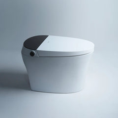 Smart Toilet IN White, And Matt Black