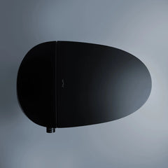 Smart Toilet IN White, And Matt Black
